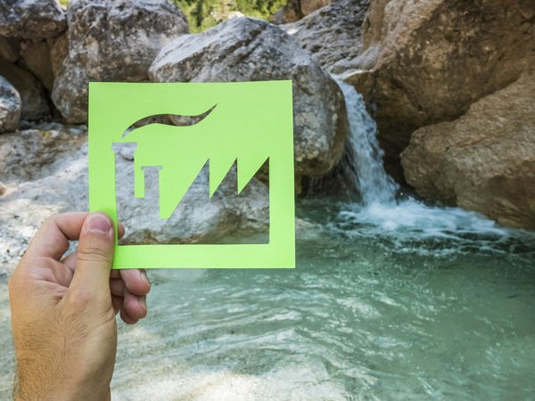 How can UK residents aid in the conservation of native orchid species in their local areas?